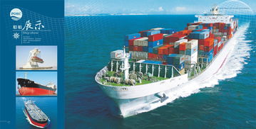 興盛洋船舶管理公司畫冊(cè)設(shè)計(jì)與集成電路設(shè)計(jì)的創(chuàng)新融合